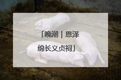 晚潮｜恩泽绵长义贞祠