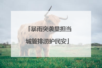 暴雨突袭显担当 城管排涝护民安