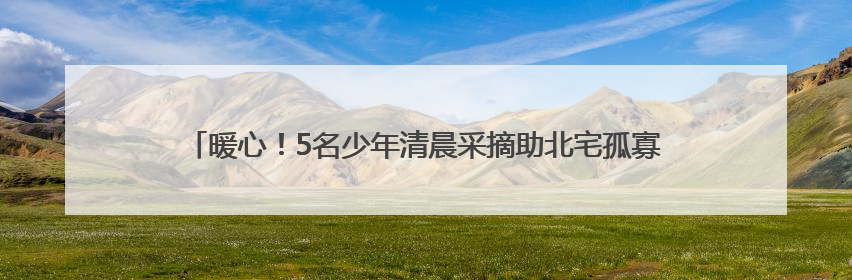 暖心！5名少年清晨采摘助北宅孤寡老人售杏，多方善意传递城市温情