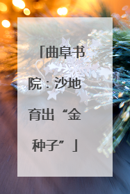 曲阜书院：沙地育出“金种子”
