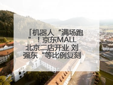 机器人“满场跑”！京东MALL北京二店开业 刘强东“等比例复刻”能否带火线下“618”？
