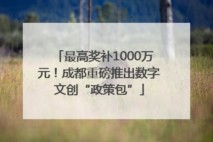 最高奖补1000万元！成都重磅推出数字文创“政策包”