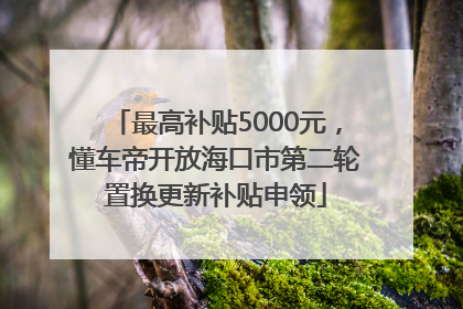 最高补贴5000元，懂车帝开放海口市第二轮置换更新补贴申领