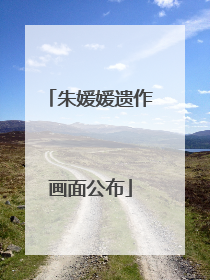 朱媛媛遗作画面公布