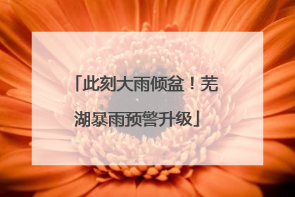 此刻大雨倾盆！芜湖暴雨预警升级