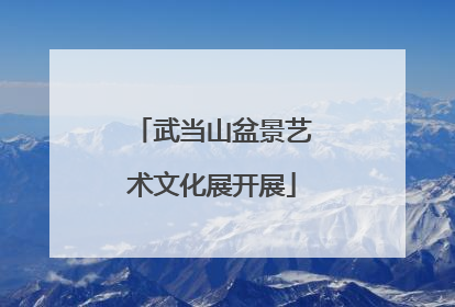 武当山盆景艺术文化展开展