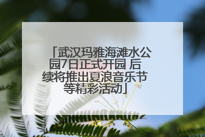 武汉玛雅海滩水公园7日正式开园 后续将推出夏浪音乐节等精彩活动
