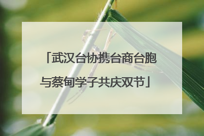 武汉台协携台商台胞与蔡甸学子共庆双节