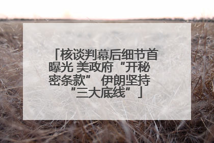 核谈判幕后细节首曝光 美政府“开秘密条款” 伊朗坚持“三大底线”
