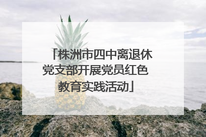 株洲市四中离退休党支部开展党员红色教育实践活动