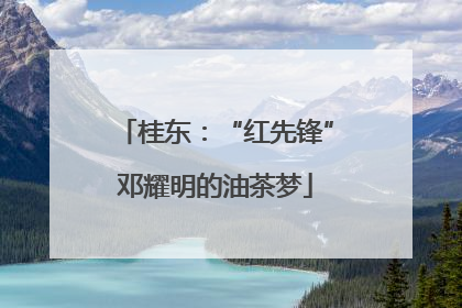 桂东：“红先锋”邓耀明的油茶梦