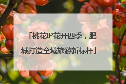 桃花IP花开四季，肥城打造全域旅游新标杆