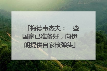 梅德韦杰夫：一些国家已准备好，向伊朗提供自家核弹头