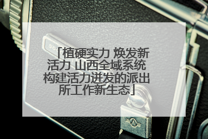 植硬实力 焕发新活力 山西全域系统构建活力迸发的派出所工作新生态