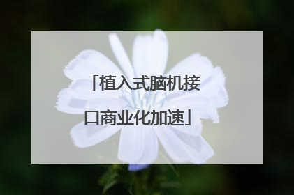 植入式脑机接口商业化加速