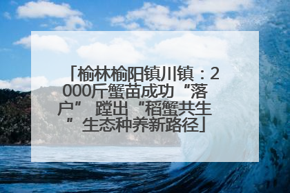 榆林榆阳镇川镇：2000斤蟹苗成功“落户” 蹚出“稻蟹共生”生态种养新路径