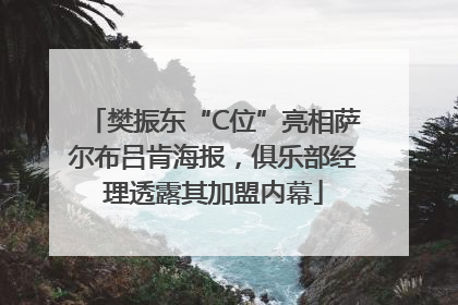 樊振东“C位”亮相萨尔布吕肯海报，俱乐部经理透露其加盟内幕