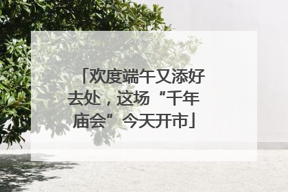 欢度端午又添好去处，这场“千年庙会”今天开市