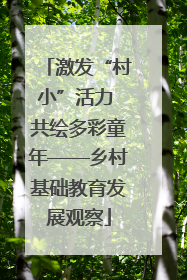 激发“村小”活力 共绘多彩童年——乡村基础教育发展观察