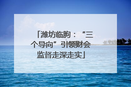 潍坊临朐：“三个导向”引领财会监督走深走实