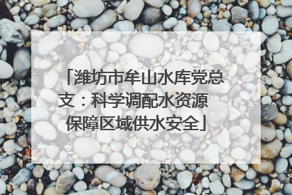 潍坊市牟山水库党总支：科学调配水资源 保障区域供水安全