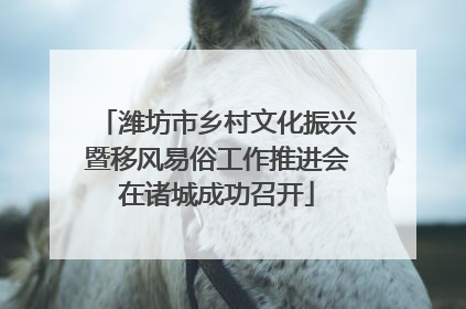 潍坊市乡村文化振兴暨移风易俗工作推进会在诸城成功召开