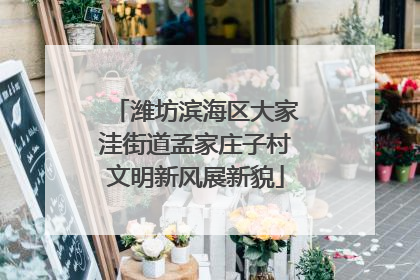 潍坊滨海区大家洼街道孟家庄子村文明新风展新貌