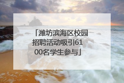 潍坊滨海区校园招聘活动吸引6100名学生参与