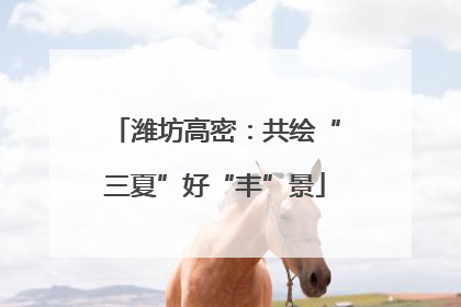 潍坊高密：共绘“三夏”好“丰”景