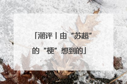 潮评丨由“苏超”的“梗”想到的