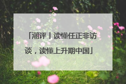 潮评丨读懂任正非访谈，读懂上升期中国