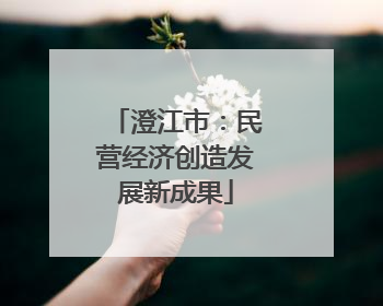 澄江市：民营经济创造发展新成果