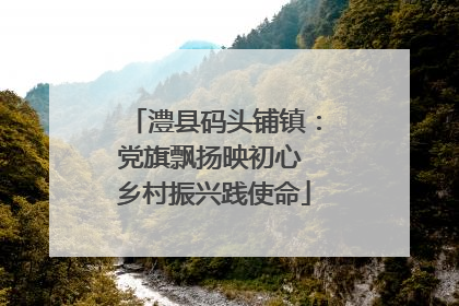 澧县码头铺镇：党旗飘扬映初心 乡村振兴践使命