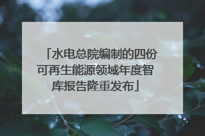 水电总院编制的四份可再生能源领域年度智库报告隆重发布