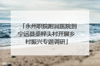 永州职院附属医院到宁远县桑梓头村开展乡村振兴专题调研