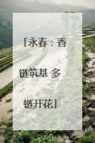 永春：香链筑基 多链开花