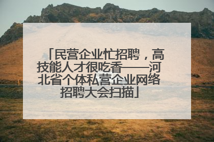 民营企业忙招聘，高技能人才很吃香——河北省个体私营企业网络招聘大会扫描