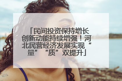 民间投资保持增长 创新动能持续增强！河北民营经济发展实现“量”“质”双提升