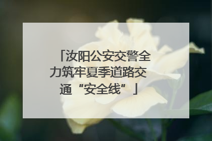 汝阳公安交警全力筑牢夏季道路交通“安全线”