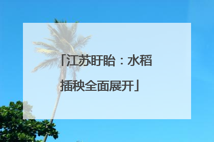 江苏盱眙：水稻插秧全面展开