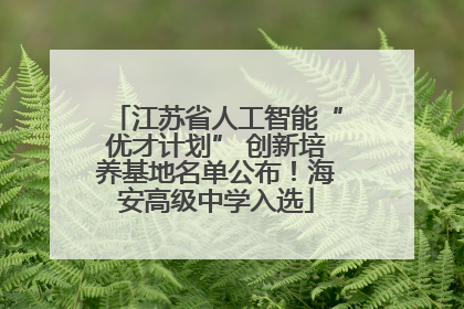 江苏省人工智能“优才计划” 创新培养基地名单公布！海安高级中学入选