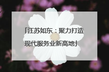 江苏如东：聚力打造现代服务业新高地
