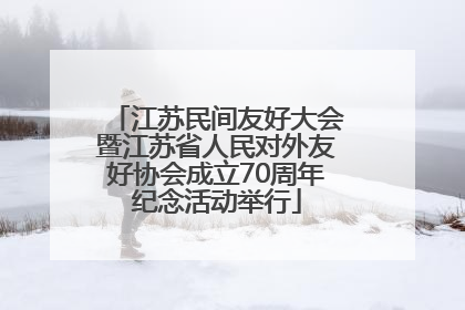 江苏民间友好大会暨江苏省人民对外友好协会成立70周年纪念活动举行
