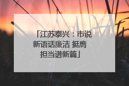 江苏泰兴：市说新语话廉洁 挺膺担当谱新篇