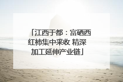 江西于都：富硒西红柿集中采收 精深加工延伸产业链