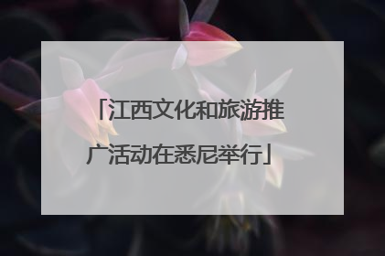 江西文化和旅游推广活动在悉尼举行