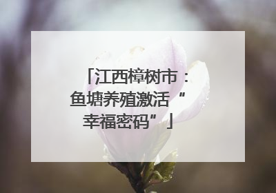 江西樟树市：鱼塘养殖激活“幸福密码”