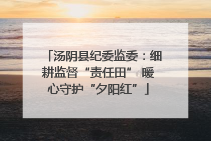 汤阴县纪委监委：细耕监督“责任田” 暖心守护“夕阳红”
