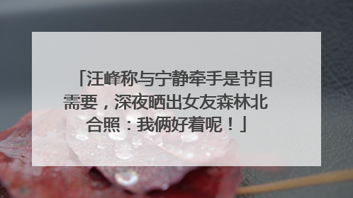 汪峰称与宁静牵手是节目需要，深夜晒出女友森林北合照：我俩好着呢！