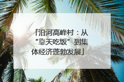沿河高峰村：从“靠天吃饭”到集体经济蓬勃发展